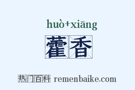 藿香是什么意思的图片